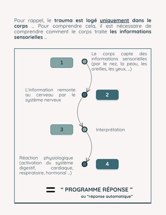lmtc, libération mémoires traumatiques du corps, anxiété, stress, phobies, thérapie, émotion