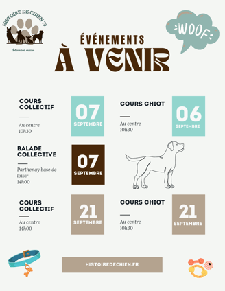 planning de septembre pour les cours chiot, cours collectifs et balades collectives