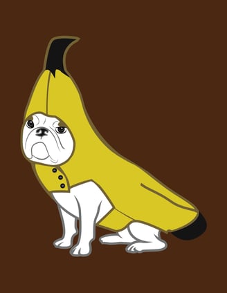 Banana Frenchie