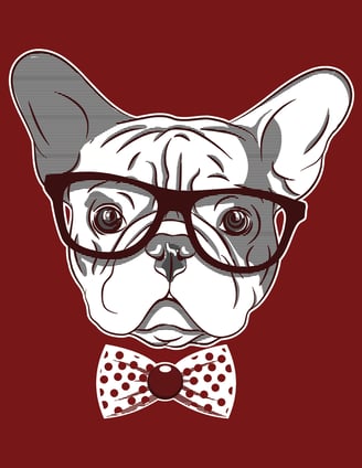 Hipster Frenchie
