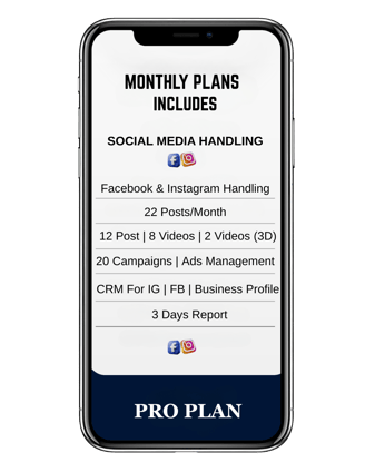 digital marketing agency in ludhiana pro plan