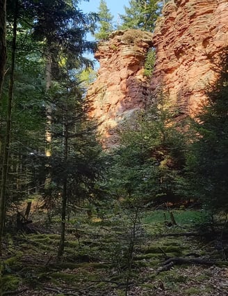 Dahner Felsenland