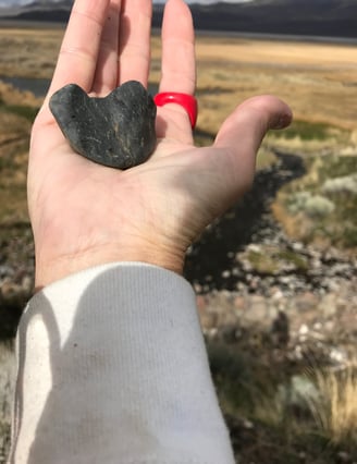 Surprise Valley Rocks