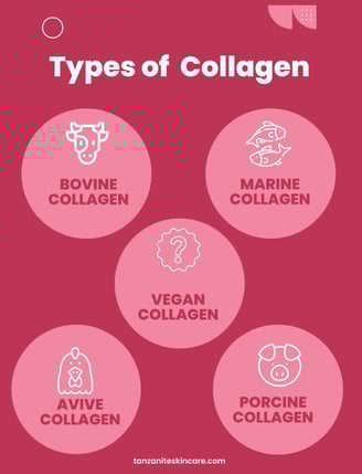 types of collagen