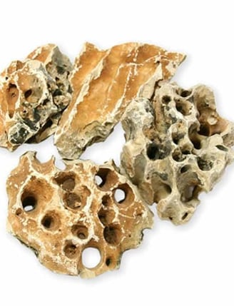 Roccetta Forata