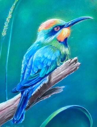 Blue Parrot drawn in pastel