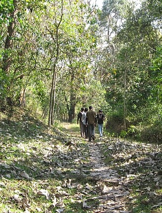 Trekking in Periyar - Kerala tour package