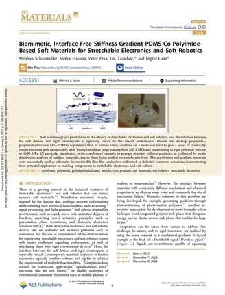  Biomimetic, Interface-Free Stiffness-Gradient PDMS-Co-Polyimide-Based Soft Materials for Stretchabl