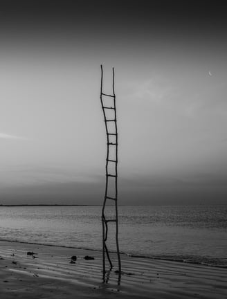 Photo échelle sur un rivage