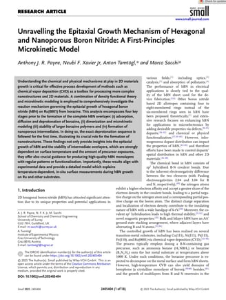 Unravelling the Epitaxial Growth Mechanism of Hexagonal and Nanoporous Boron Nitride: A First-Princi