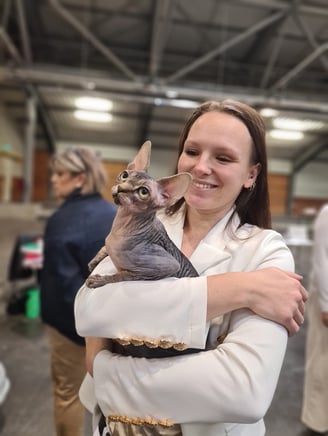 Exposition féline avec mon sphynx