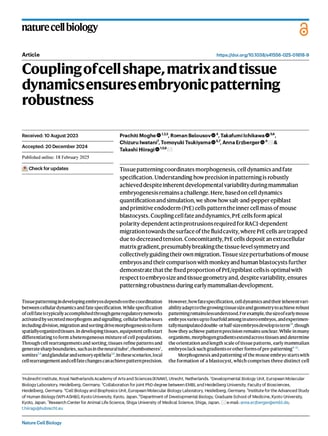 Coupling of cell shape, matrix and tissue dynamics ensures embryonic patterning robustness