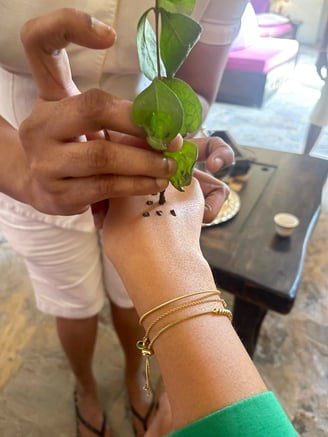 ix-senses-zighy-bay-oman-arrival-henna