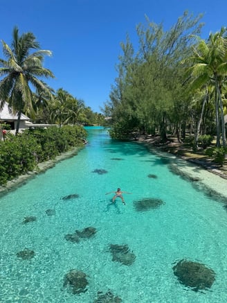 st-regis-bora-bora-ladoonarium-snorkel