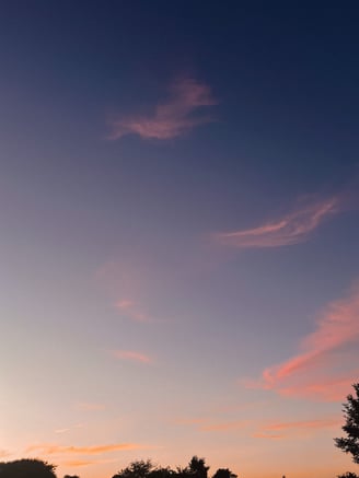 A serene view of the sky at dusk with soft pink clouds and silhouettes of trees below, evoking tranquility and natural beauty