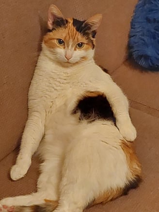 Kerė