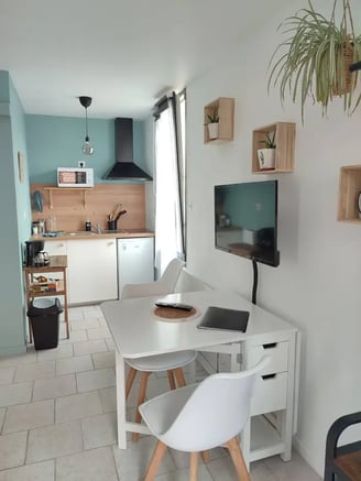 Location studio moderne avec kitchenette équipée, coin bureau et TV murale, déco scandinave et plantes verte