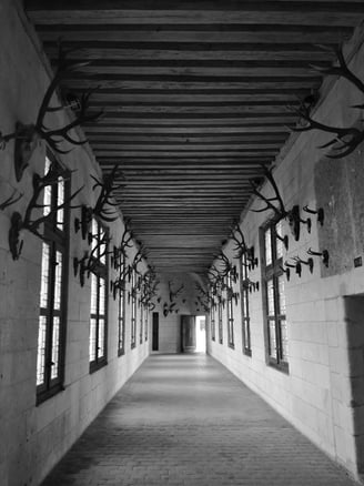 The Quick & The Dead A pun on the noble line of hunting lodges displaying their prowess