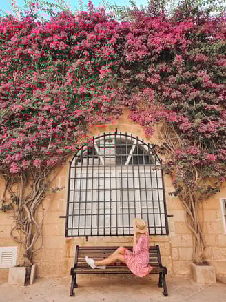 mdina bench with flower