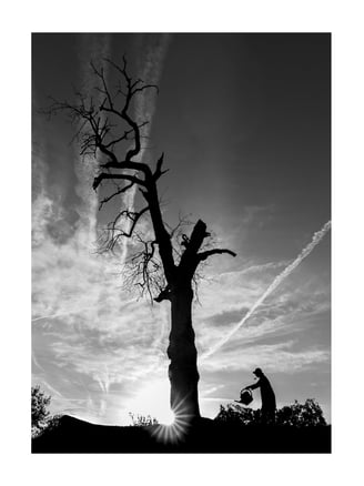 L'Arbre Magique - Le Jardinier 