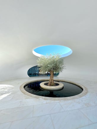 shebara-resort-spa-entrance