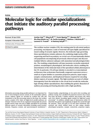 Molecular logic for cellular specializations that initiate the auditory parallel processing pathways