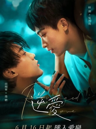 Revenged Love