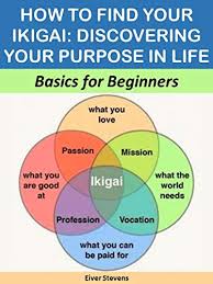 Professional Mentoring for Career Growth