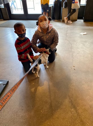 Dog gone good day in San Antonio Texas