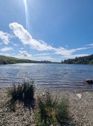 Llyn Pendam in the sunshine, a stunning lake