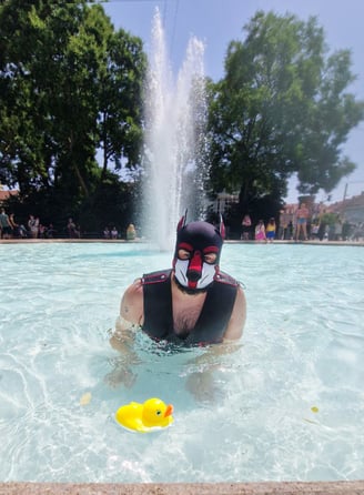 A man in a public fountain wearing a pup mask.