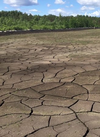 1l HUMUSON COMPLEX skystas koncentruotas bio humusas