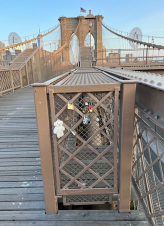 Caged on the Brooklyn Bridge