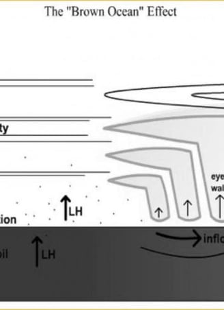 Brown Ocean Effect figure. (Image credit: Dr. Theresa Andersen and Dr. Marshall Shepherd / University of Georgia)