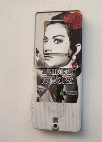 El arte callejero disfruta de la cultura jerezana e incluye a Lola Flores en su arte.