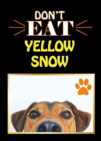 a dog is shown with a dog's face