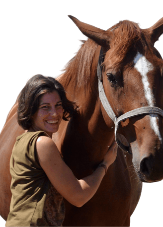 synergie avec le cheval, appliqué aux entreprises