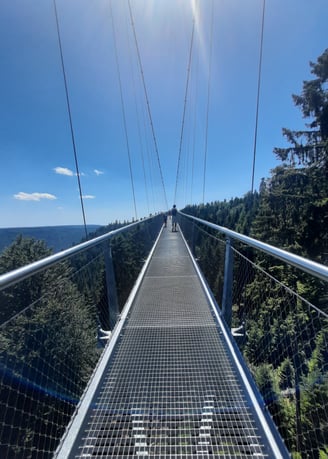 a person standing on a hanging bridge over a river