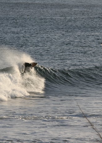 A surfer hitting the lip backside of a sunlit wave.