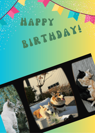 a birthday card with cats and dogs