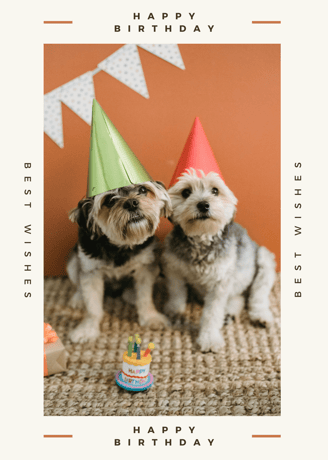 two dogs are sitting on a rug with a birthday cake