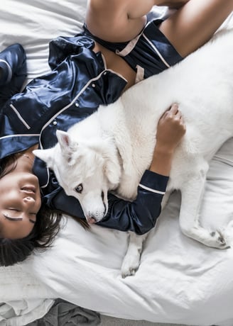 Dog cuddling in bed