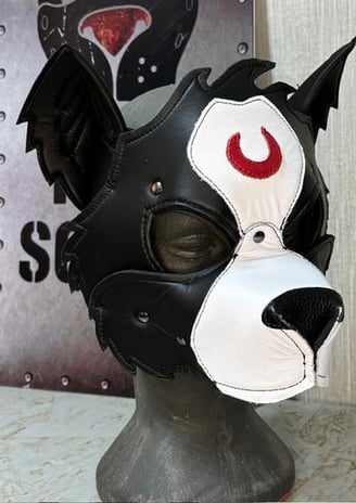 Leather dog mask