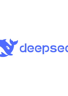 deepseek ai logo