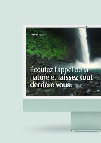 écran ordinateur avec couleur verte