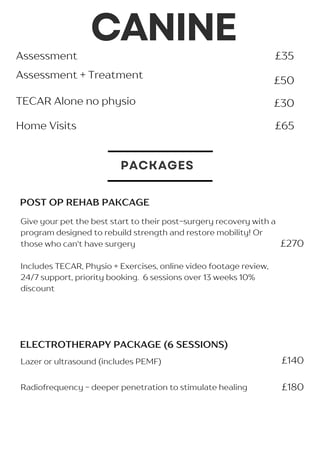 canine physiotherpay prices with home visits in Bodmin, St Austell and Liskeard
