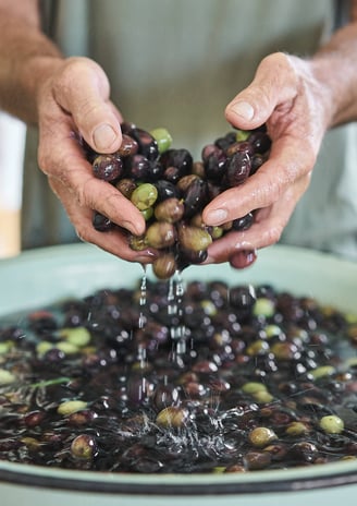 Nettoyage des olives
