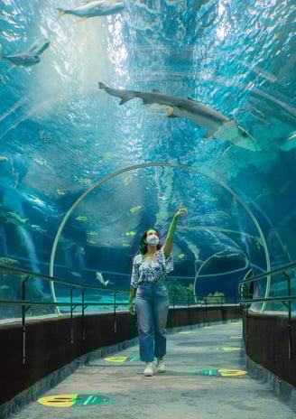 aquario marinho do rio