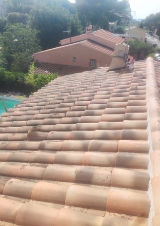 toiture propre nettoyer avec agent fongicides