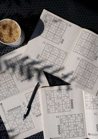 Sudoku puzzles large print